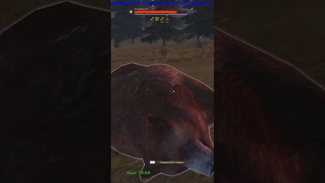 Рыжий медведь на караване, ч.2 #shorts #stalkeronline #stayout #сталкеронлайн #eu1 #охота #медведь смотреть онлайн