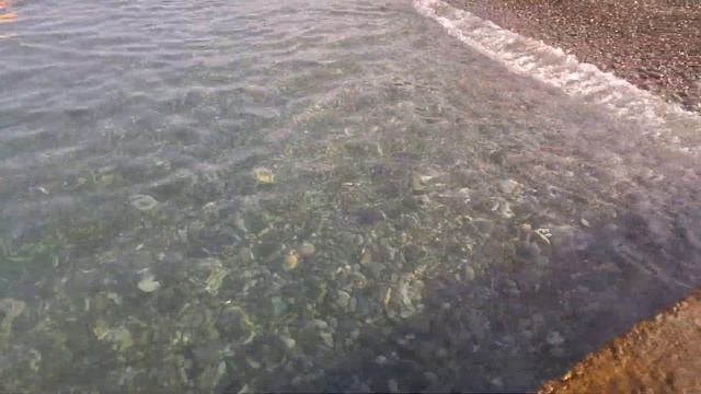 Адлер 2016. смотреть онлайн