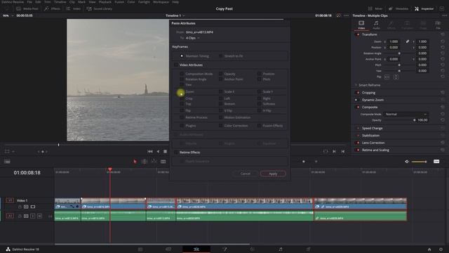 Copy And Paste Clip Attributes and Effects In DaVinci Resolve 18 смотреть онлайн