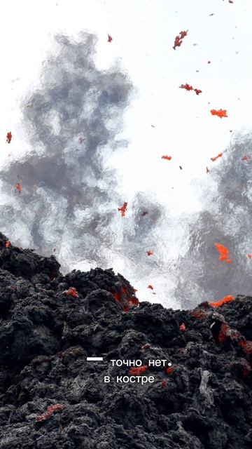 Миф о том, что зола от костра улучшает рост овощей #дача#урожай#удобрения смотреть онлайн