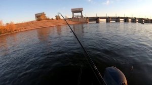 Ловим крупного Судака на джиг на реке с течением. Следующие дни...