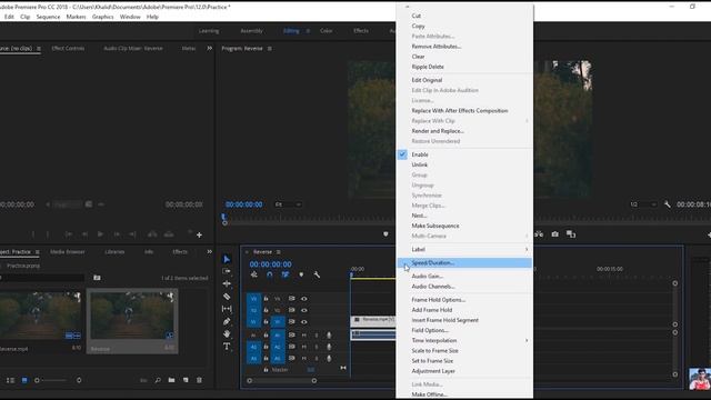 How to Reverse a Clip in Premiere Pro (Fast Tutorial) смотреть онлайн