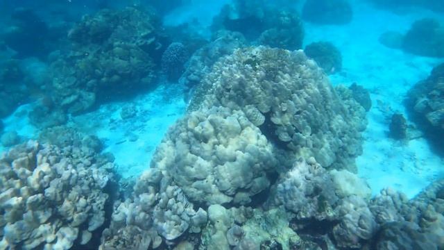 Queen of the Andaman Sea - Koh Rok Island смотреть онлайн