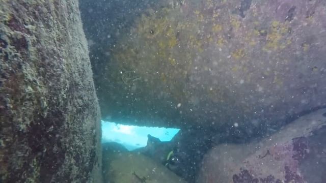 Free Diving In Mango Bay