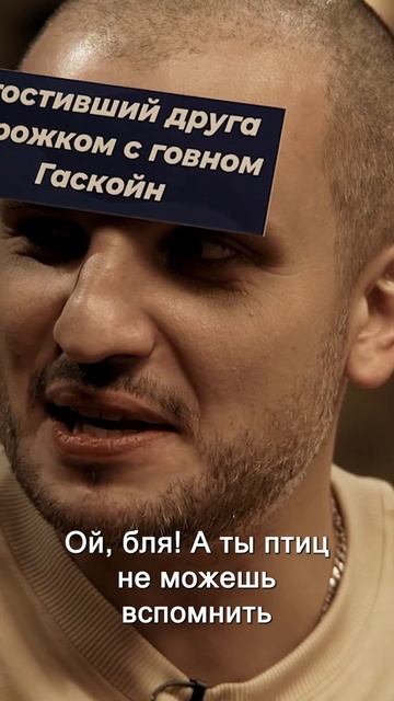 Кос угадывает красивую птицу #shorts