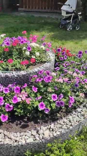 летнее настроение 💐 наши #цветочки #петуния #вербена смотреть онлайн