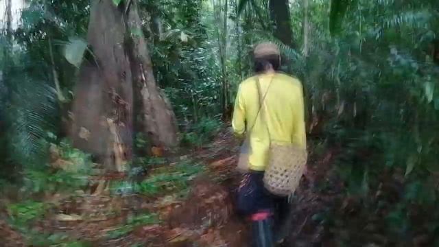 AMAZONAS LA JANGADA HOSTEL & TOURS смотреть онлайн