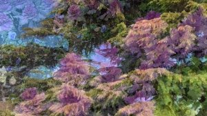 Ялта. 8 марта. Ажиотаж в городе! Сезон начался?!) Солнечная весна. 2025. Крым. Crimea. Yalta.