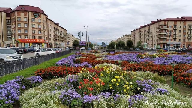 Цветники в городе Северобайкальск. #нашгород #лето смотреть онлайн