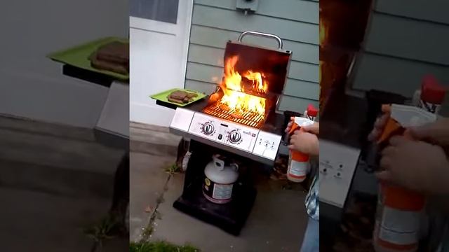 Brandi's Birthday Party/BBQ...... flame broiled style! смотреть онлайн