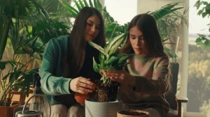 Дома, в которых хочется жить