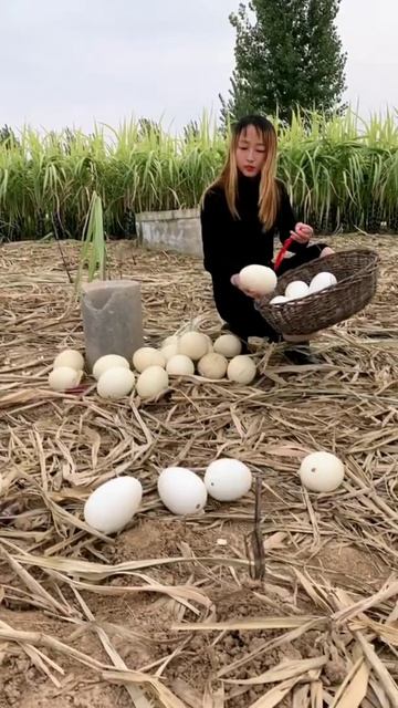 Amazing Ostrich Farm ! I'm Working at Ostriches farm , Feeding to ostriches #ostrich #short27 смотреть онлайн