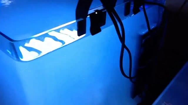 Аквариум смотреть онлайн