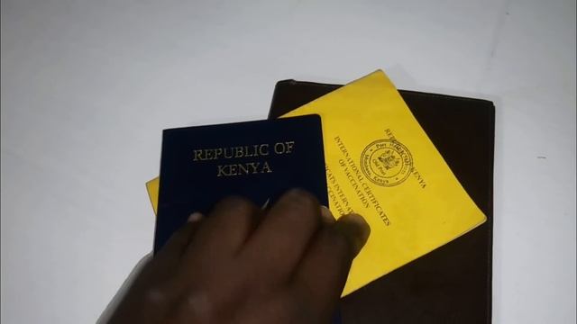 I Left Tanzania : VISA, PASSPORT&YELLOW CARD |What You Need To Cross The Border By Road-Kemunto Bea смотреть онлайн