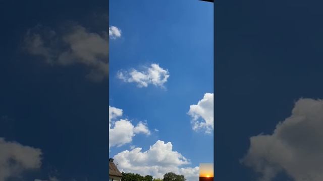 1000035356.mp4 смотреть онлайн