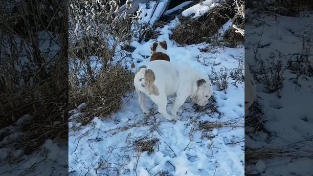 Мама, где ты? Я тебя жду! смотреть онлайн