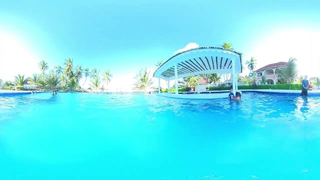 Zanzibar - Sunny Palms смотреть онлайн