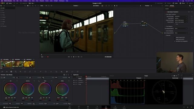 Using Voyager LUT Pack In ACES For DaVinci Resolve