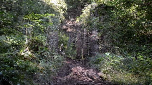 Val di Sole Bike Land Full version смотреть онлайн