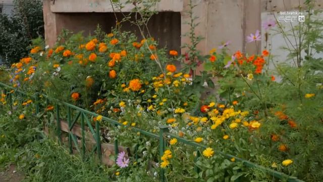 ЗЕЛЁНЫЙ ДВОР Питерское вдохновение на ул Гагарина, 95 смотреть онлайн