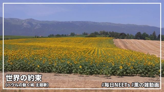 【ハウルの動く城】世界の約束【吹いてみた】 смотреть онлайн