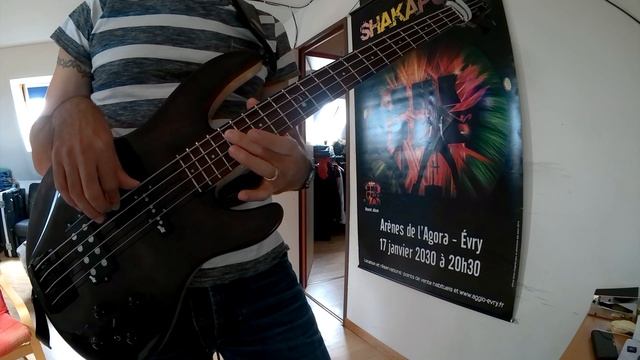 Rita Mitsuko - Ding Dang Dong (Bass Cover + TAB (in description)) смотреть онлайн