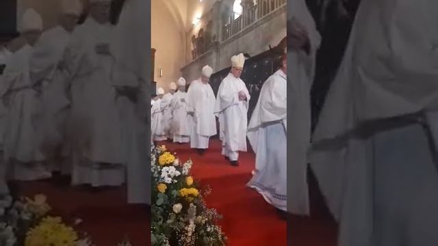 Mons. Milan Zgrablić zaređen u Katedrali sv. Stošije u Zadru - Fenix-magazin смотреть онлайн