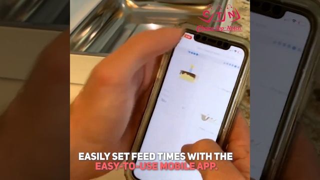 THE ALL NEW SENSORED AUTOMATIC PET FOOD DISPENSER 😎😎😎 смотреть онлайн