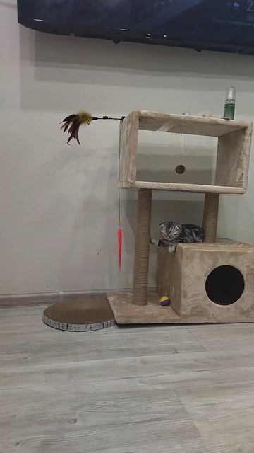 Уснула играя