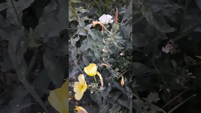 Советы пророка Мухаммада (саллаллаху алейхи ва салам) смотреть онлайн