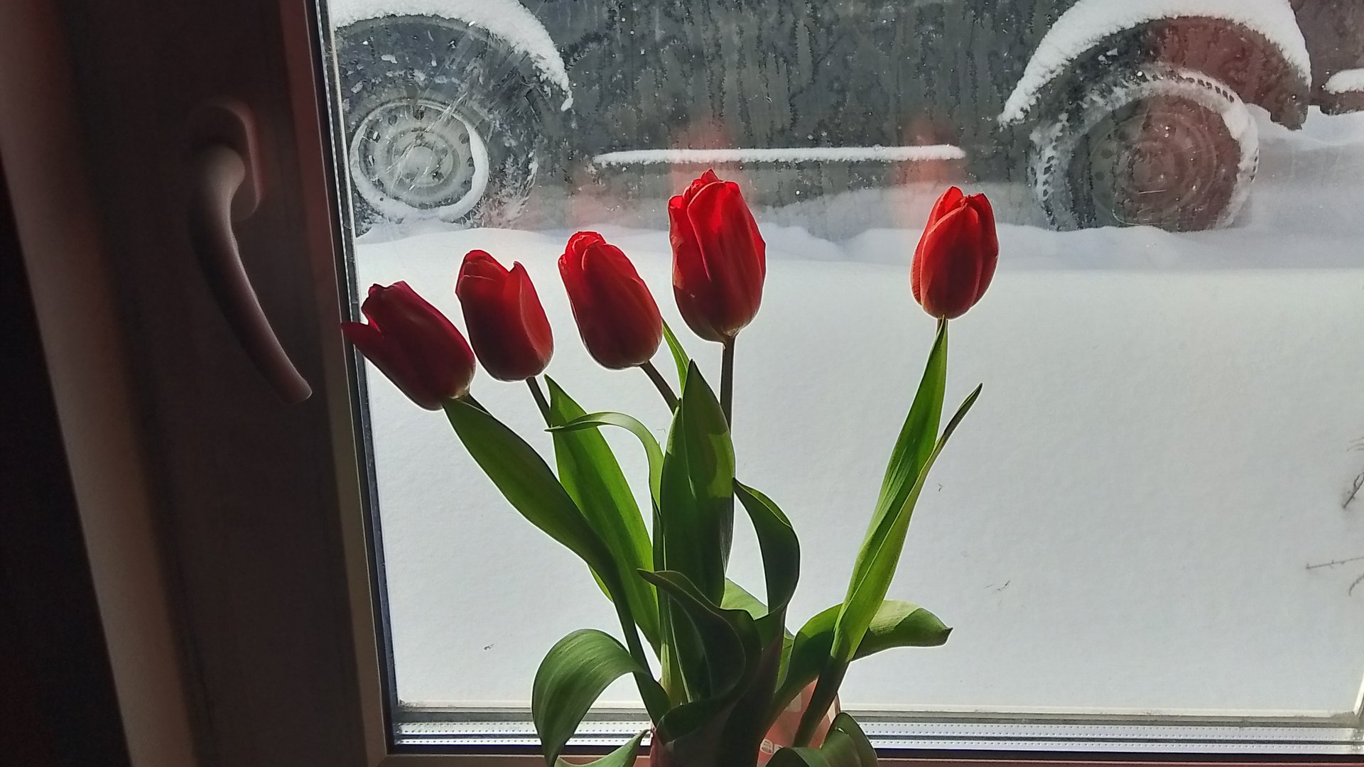 8 марта на даче. Уют и уединение. смотреть онлайн