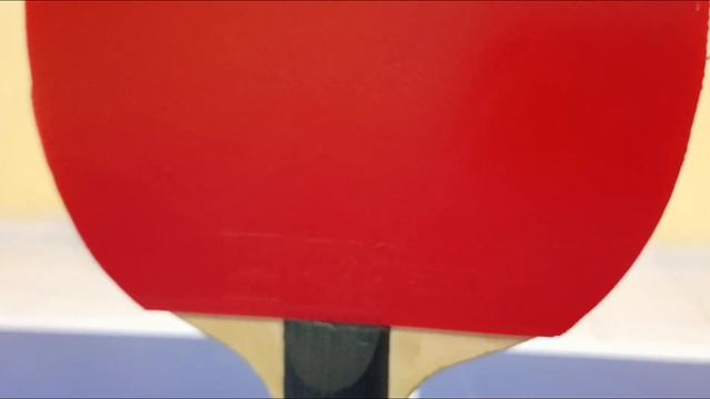Blade Table Tenis Sanwei T88 with Rubber Super Tacky Sanwei Target National and Sanwei T88 UltraSpi смотреть онлайн