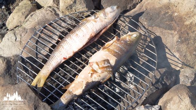 Urekhi Adventure: Grilling Fish in the Mountain Air смотреть онлайн