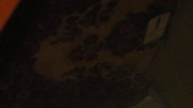 DSCN0271