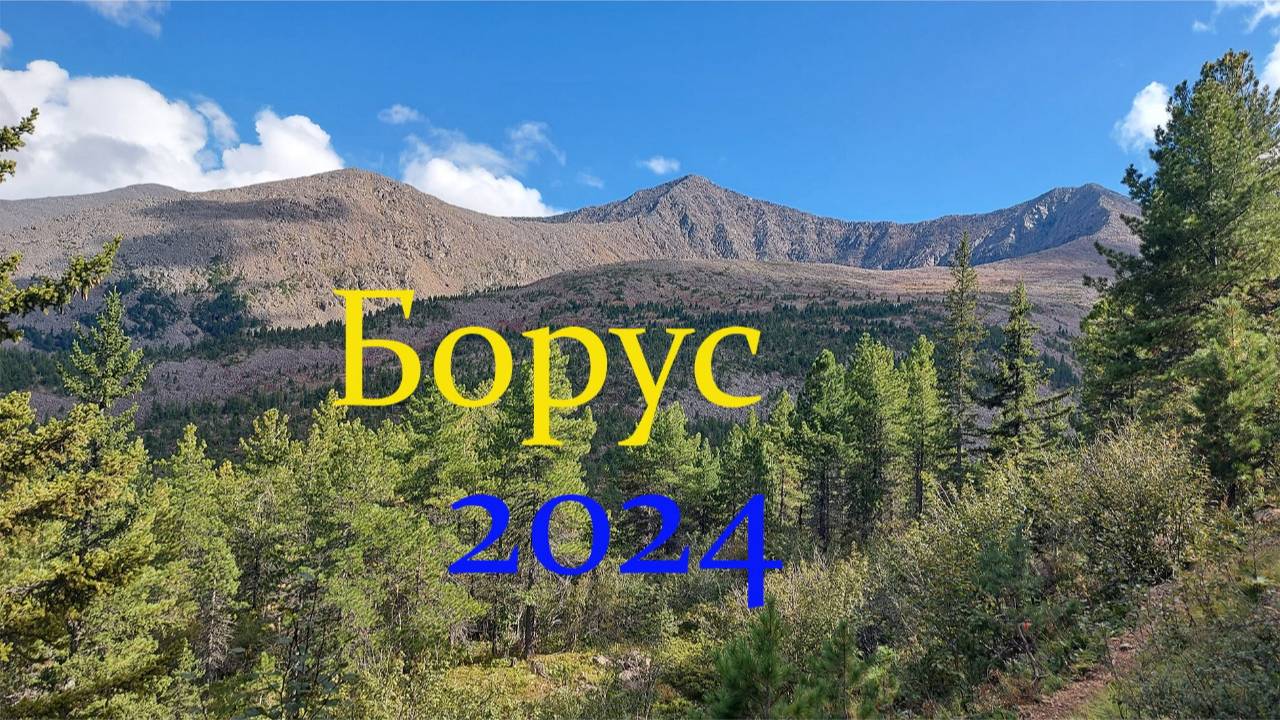 БОРУС,  август 2024