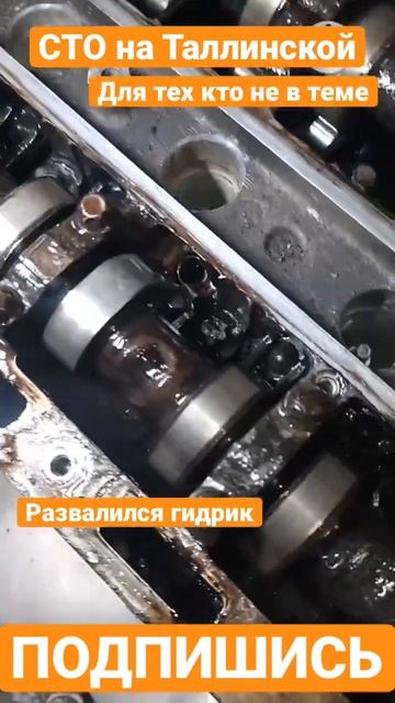 Z 14 XEР. Развалился гидрокомпенсатор #автосервис #сто #фит #тюмень #фитсервис смотреть онлайн