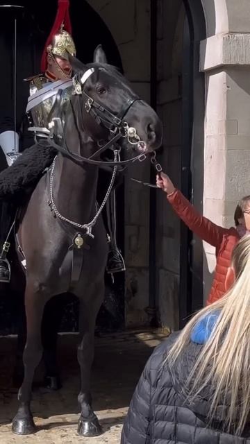 “STAND BACK! GET OFF THE REINS!” #thekingsguard смотреть онлайн