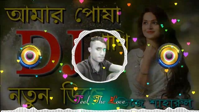 আমার পোষা পাখি উড়াল দিছে রে ডিজে | Amar Posha Pakhi Ural Dise Re DJ | DJ Gan | DJ Shaharul смотреть онлайн