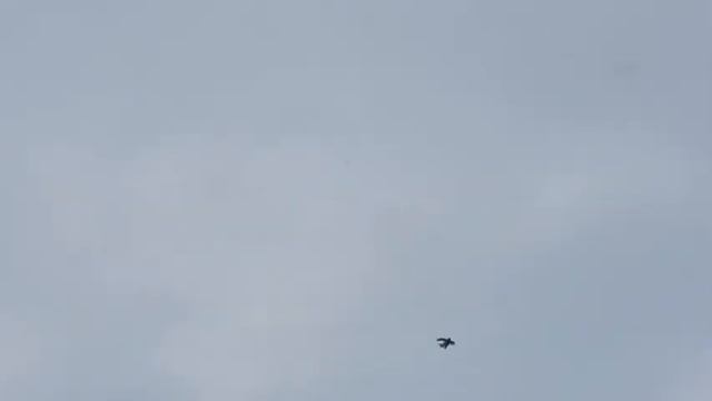 выход смотреть онлайн