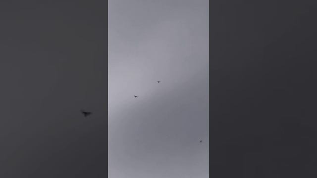 17.02.24г. Кто-то полетел.... смотреть онлайн