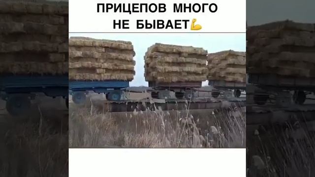 ПРИЦЕПОВ МНОГО НЕ БЫВАЕТ! МТЗ 82.1 ТАЩИТ 5 ПРИЦЕПОВ БЕЗ ОСОБОГО ТРУДА! МТЗ ЗВЕРЬ 🔥 смотреть онлайн