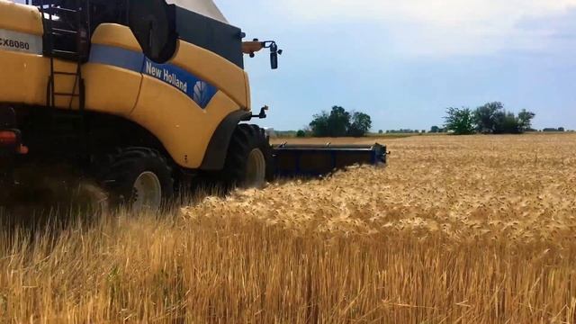 Пуск в работу очёсывающей Жатки 2019 год