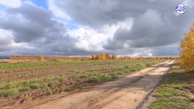 Ямальский картофель смотреть онлайн