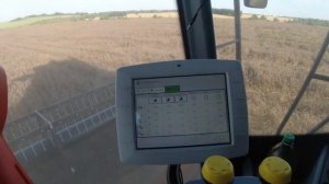 RSM 161. Уборка фацелии. Урожай 2020