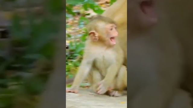 Poor Rainbow Crying Spoil Angry Mum Libby Not Warm Milk #shorts