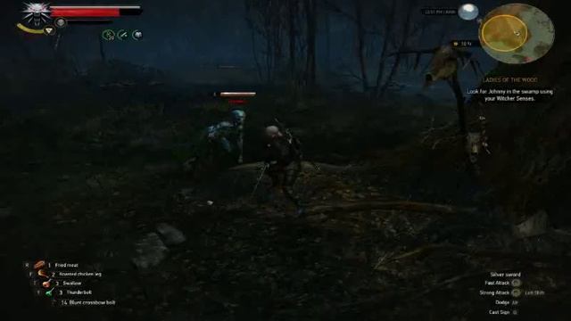 The Witcher 3: Wild Hunt- Gameplay 21- Lands of The Wood, Finding Johny, Search Raven Nest 2020 смотреть онлайн