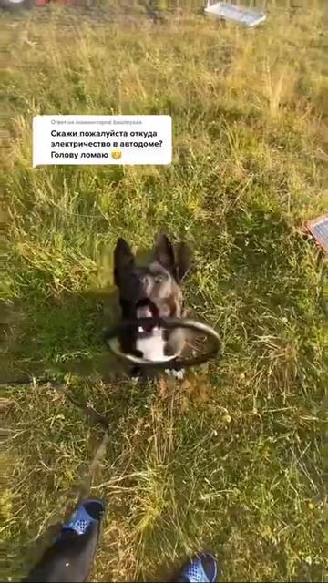 ОТКУДА ЭЛЕКТРИЧЕСТВО В ДОМЕ НА КОЛЁСАХ ⚡ смотреть онлайн