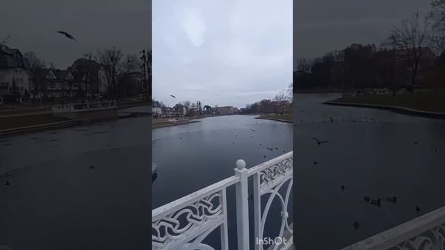 Калининград Верхнее озеро Есть две вещи за которыми мы не когдане должны гнаться