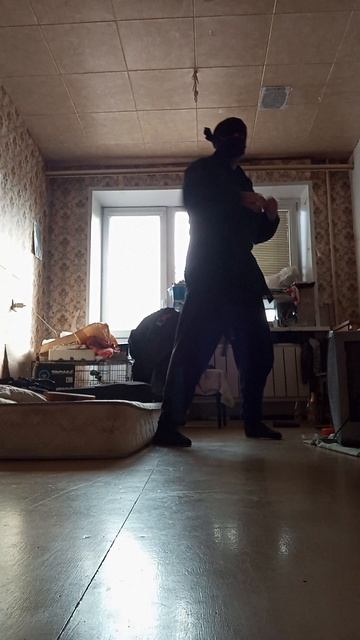 Крайне Северный Ниндзя: Тщ! (12.03.2025) Very Nordic Ninja: Tsch! #VeryNordicNinjaLavinAComboKicks