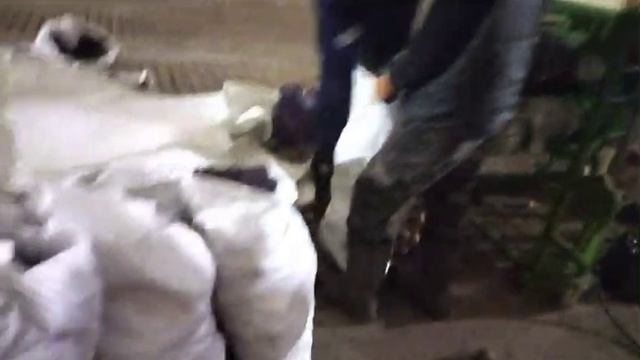 упаковка картофеля и овощей в сетку смотреть онлайн